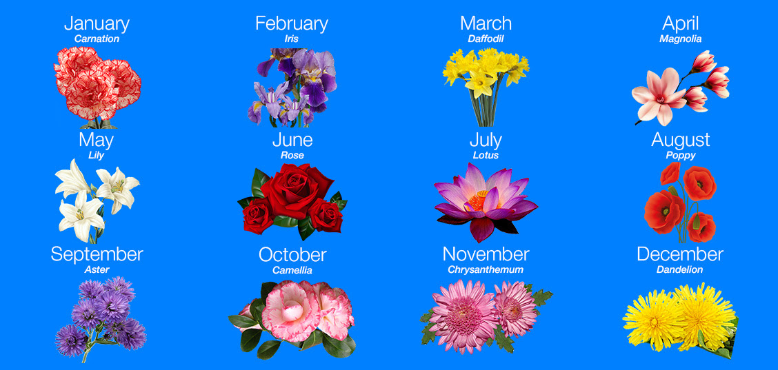I was born in the month of may and here is a may birth flower (lily) tattoo design. Birth Month Flower Tattoo Designs Meanings And Ideas