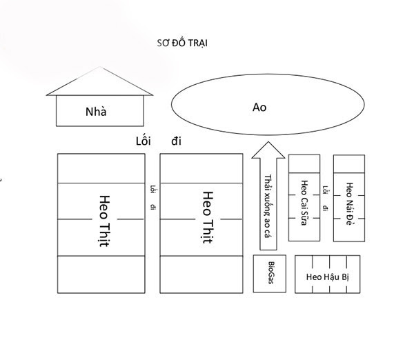 nguyên tắc thiết kế chuồng trại heo