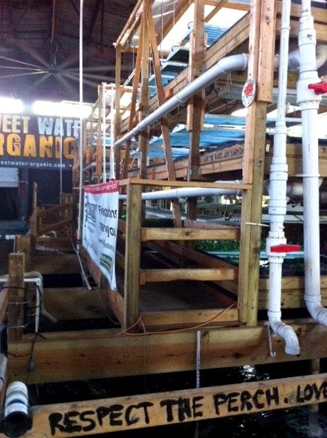 aquaponics philippines, made cascade system with