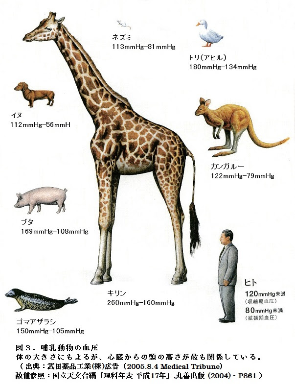 75 ず から 始まる 動物 ディズニー画像のすべて