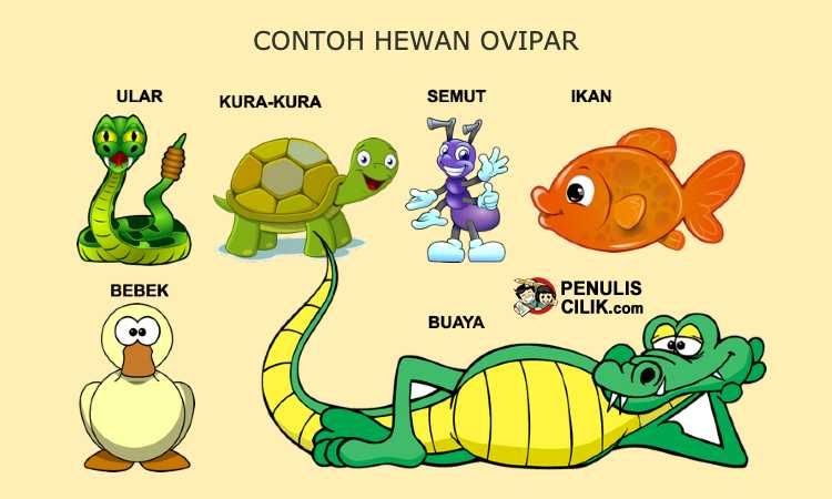 Ciri Hewan  Ovipar Pejuang Soal