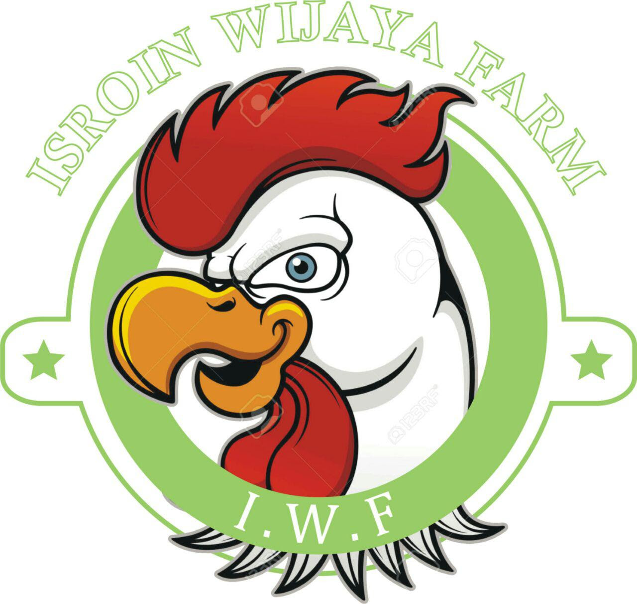 Inspiration Logo Ayam  Kartun Gambar  Tato Gambar  Tato