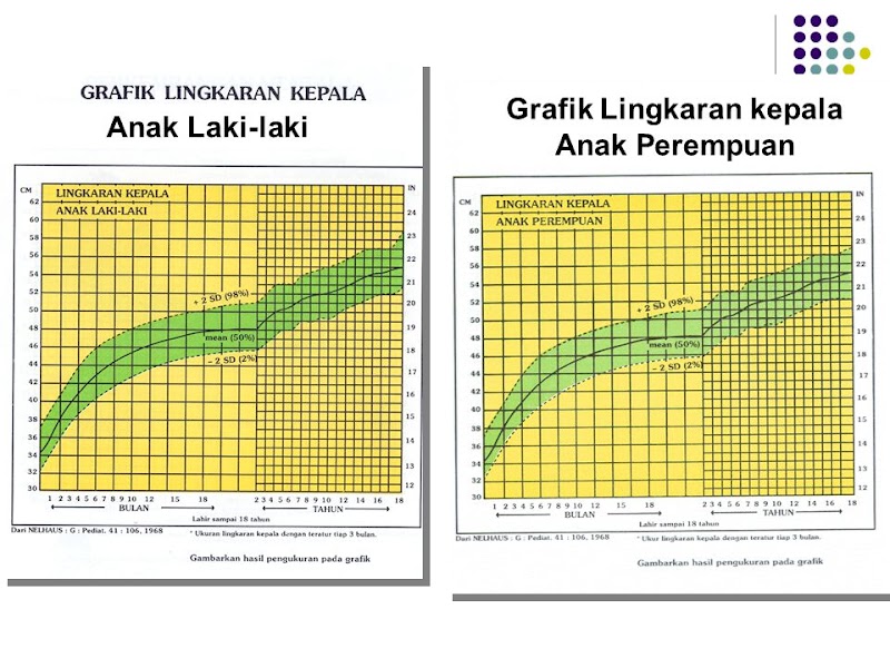 Ide Menghitung Tetesan Anak Usia 2 Tahun, Tas Anak