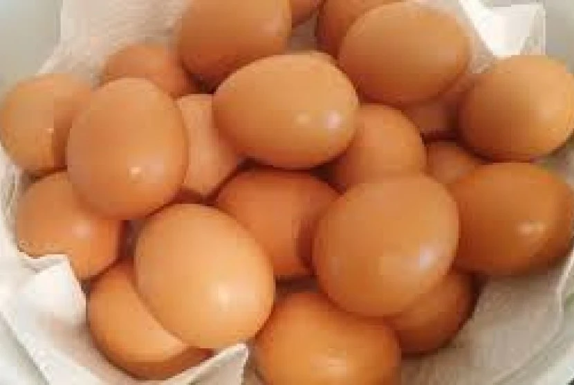 Hasil gambar untuk telur