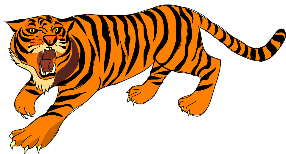 Koleksi 45 Gambar Animasi  Hewan Harimau  HD Terbaik 