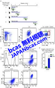 B Cas M 型 ツール ダウンロード