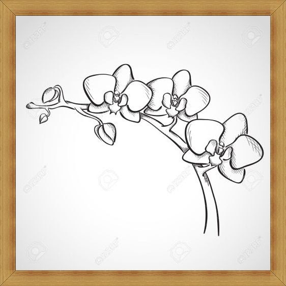 Contoh Sketsa Gambar Bunga Yang Mudah - Contoh Sketsa Gambar