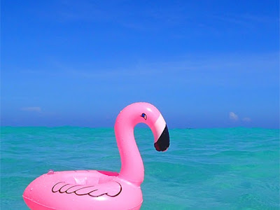 【人気ダウンロード！】 オシャレ 夏 iphone 壁紙 524509-壁紙 iphone 夏 画像 おしゃれ