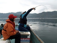 これまでで最高のチヌ 筏 釣り 動画 すべての魚の画像