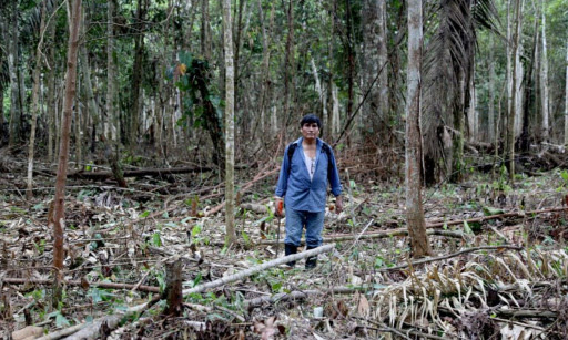 Justice pour Roberto Carlos Pacheco, écologiste tué dans l'Amazonie péruvienne