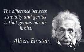 Image result for albert einstein on genius