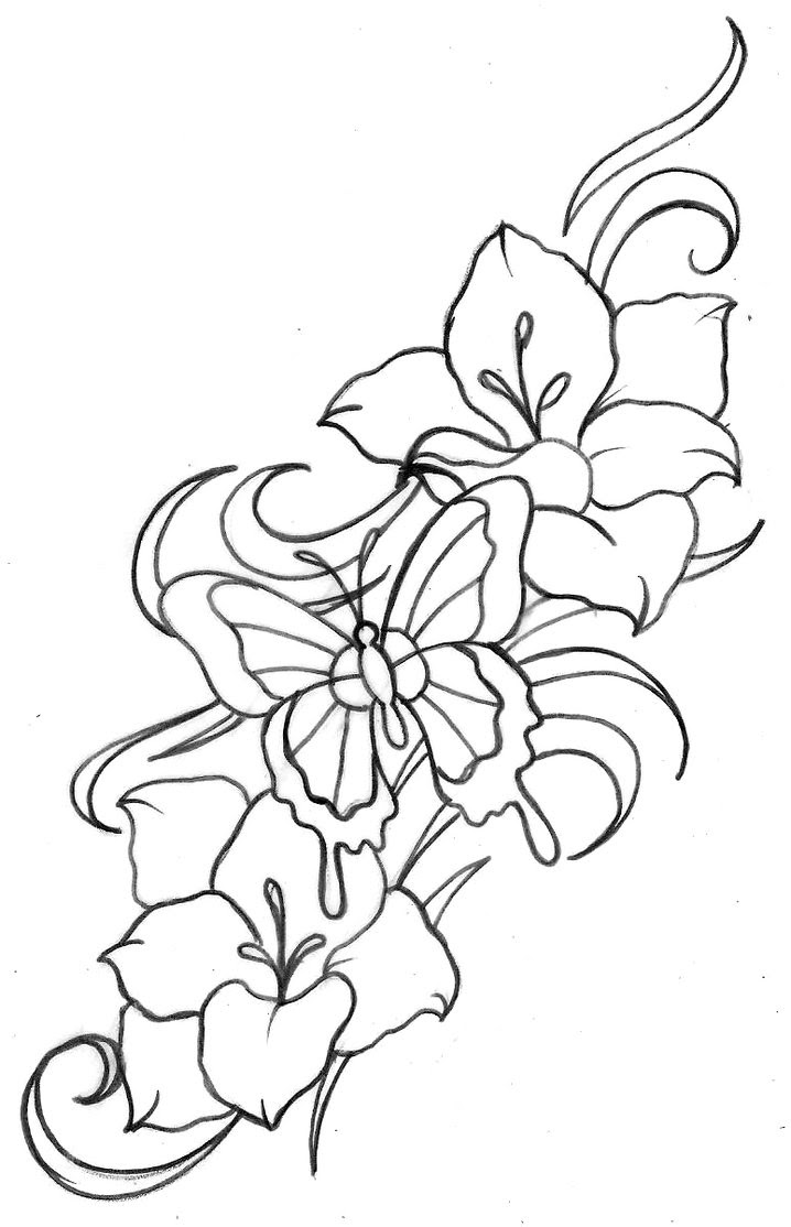 Magnolien tattoo hibiskus tattoo tattoos feder coole tattoos blumen tattoo vorlage tattoo vorlagen hawaiianische blumentattoos kirschblüten tattoo schädel und rosen. The Best Free Metacharis Drawing Images Download From 161 Free Drawings Of Metacharis At Getdrawings