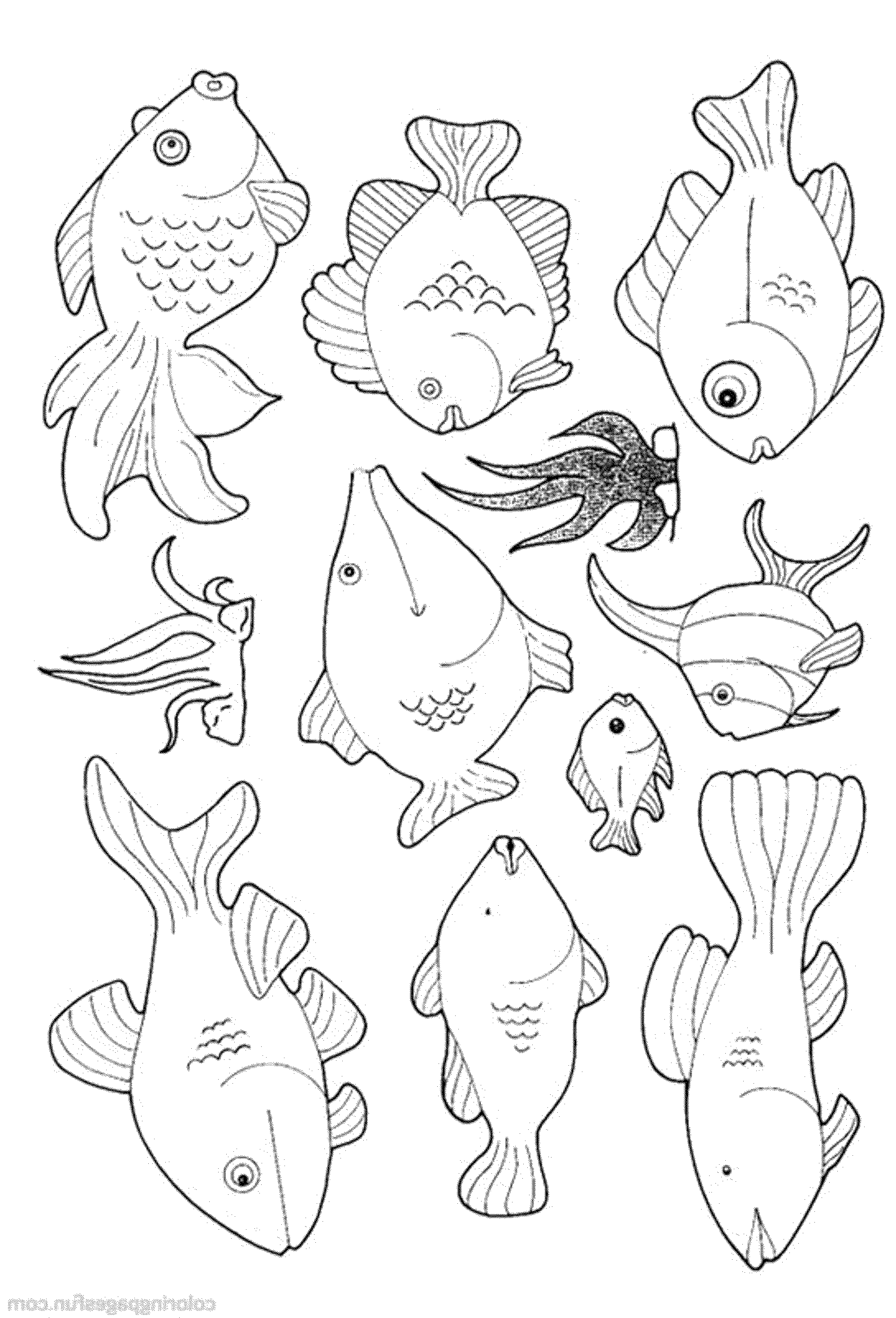 Tropical Fish Coloring Pages