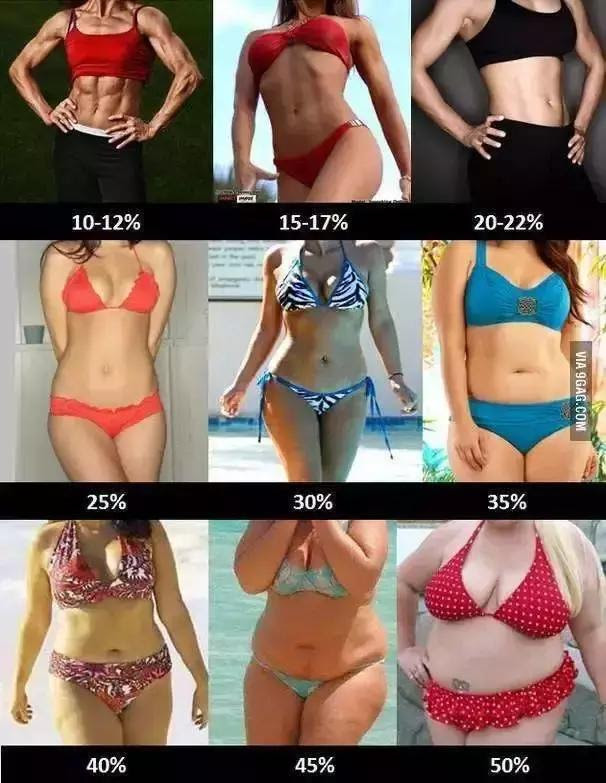 ファッショントレンド 50 女性体脂肪率15