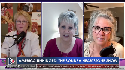 4/17/2023 America Unhinged: The Sondra Heartstone Show with Sondra Heartstone