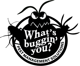 Expert, comprehensive indoor pest control. Pest Control Brisbane South Brisbane Pest Control Services Whatsbugginyou