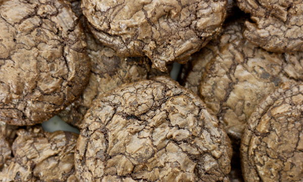 Image of the GAIL's Colombian Chocolate Cookie