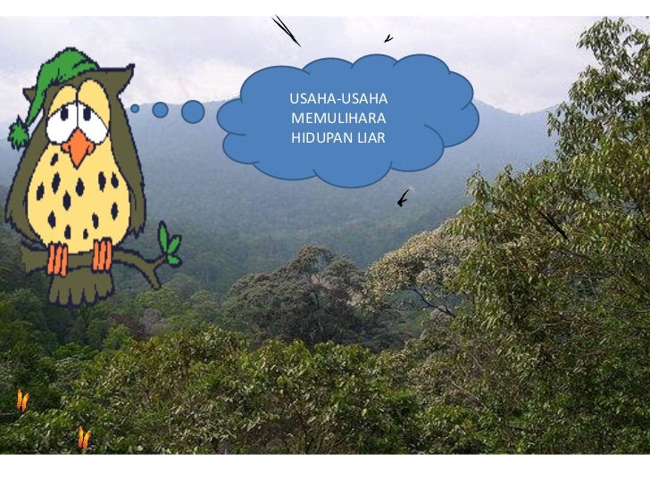 Contoh Soalan Kimia Kertas 3 Tingkatan 4 Akhir Tahun 