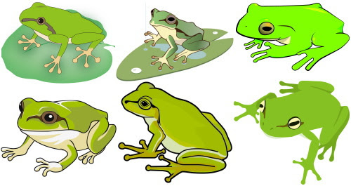 動物の画像について 元のリアル おしゃれ かわいい カエル イラスト