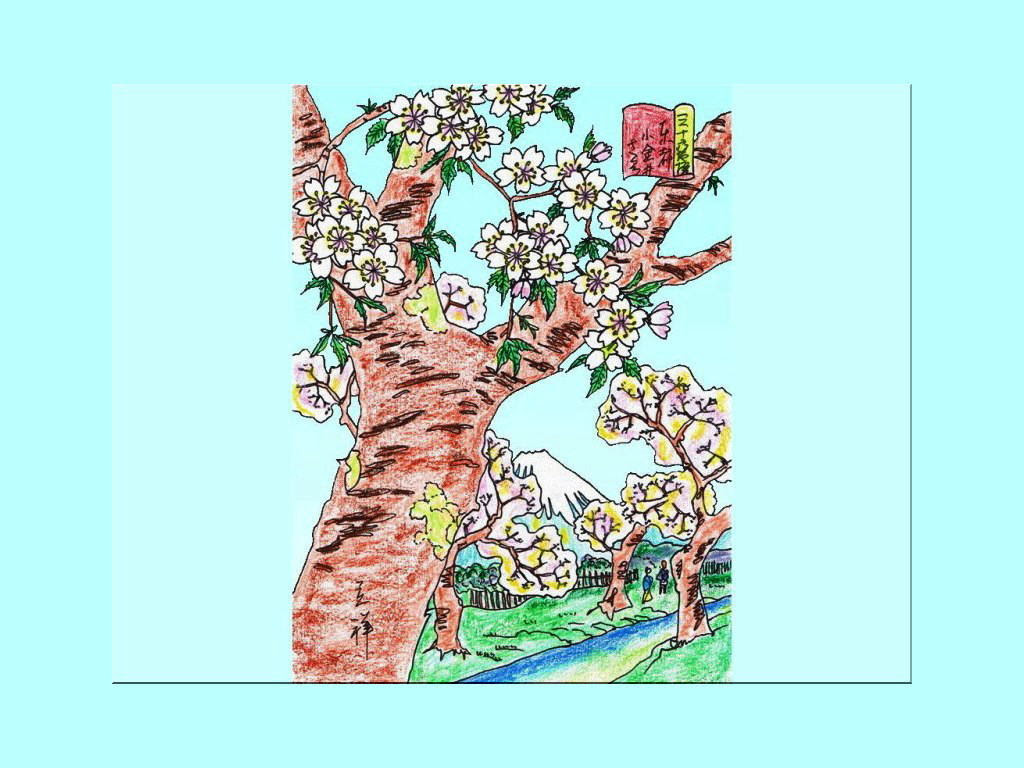トップ100 桜 花 浮世絵 最高の花の画像
