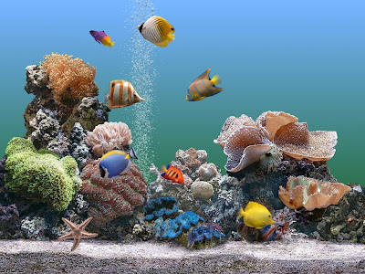 コンプリート！ デスクトップ 壁紙 水族館 568418-デスクトップ 壁紙 水族館