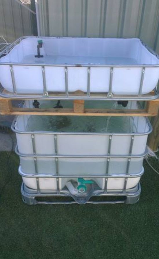 DI system: 1000 gallon aquaponics tank