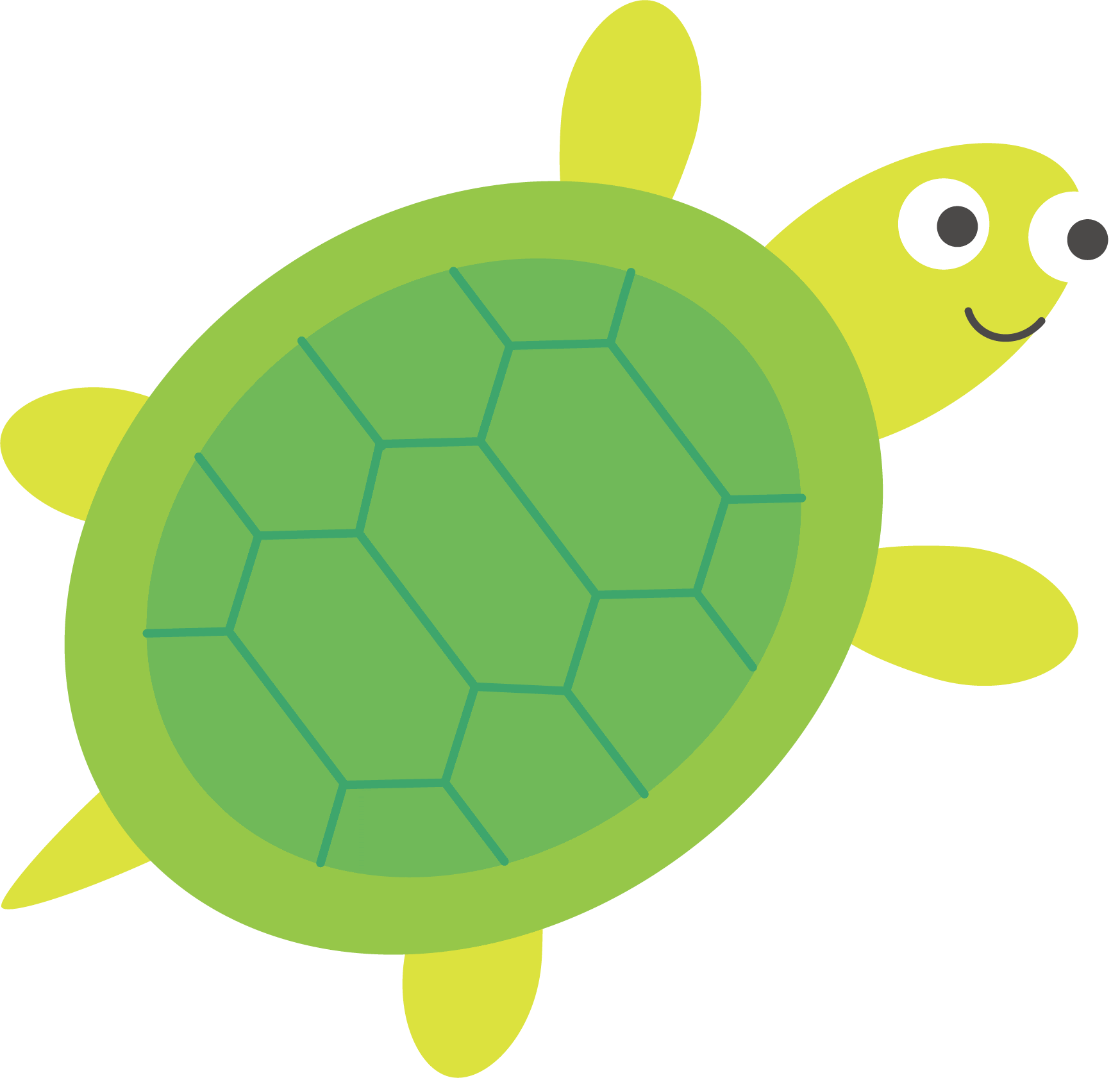 動物の島 最高かつ最も包括的なカメ イラスト