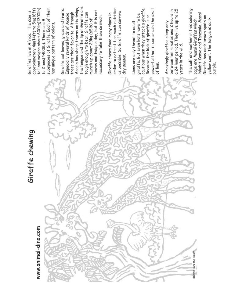 Found 3 paint color chips with a color name of acacia blue sorted by year. Animal Coloring Page Giraffe Print Size Jack The Lizared Wonder World