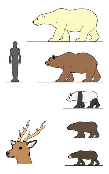 新着カッコイイ 熊 かっこいい イラスト ディズニー画像のすべて