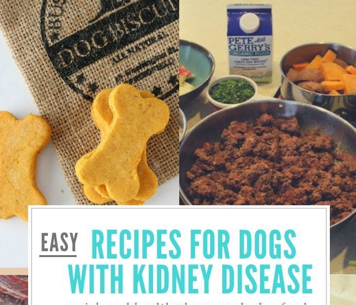 Kidney Disease Diet For Dogs Recipes - DIETPROV