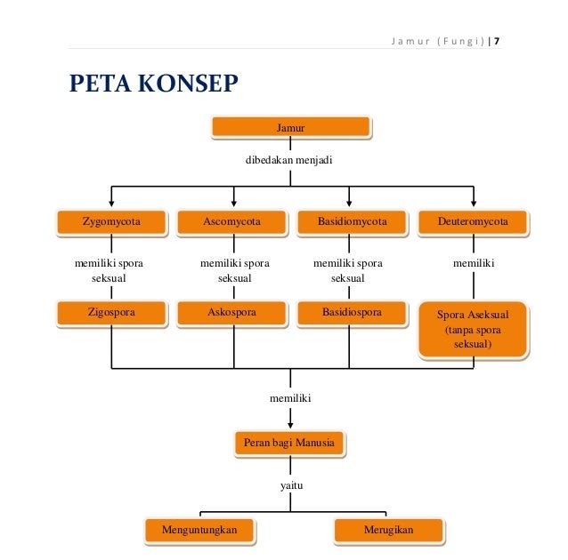 Contoh Hasil Observasi Smp - Contoh KR