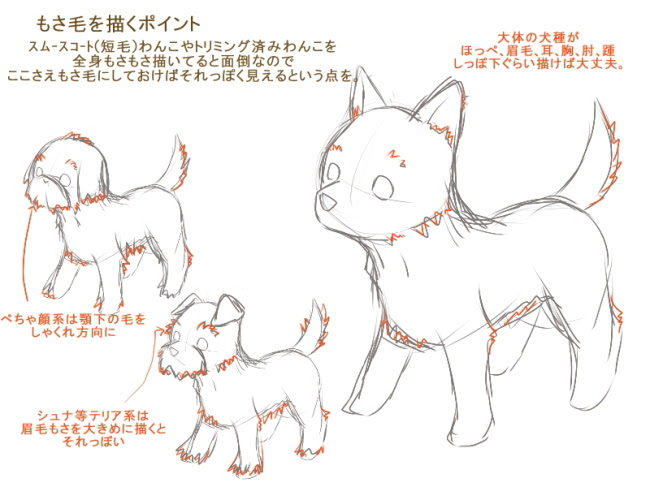 Elaullidoestercolomer 最も好ましい 全身 イラスト 簡単 動物