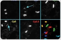 What is Time-Resolved Fluorescence Spectroscopy?