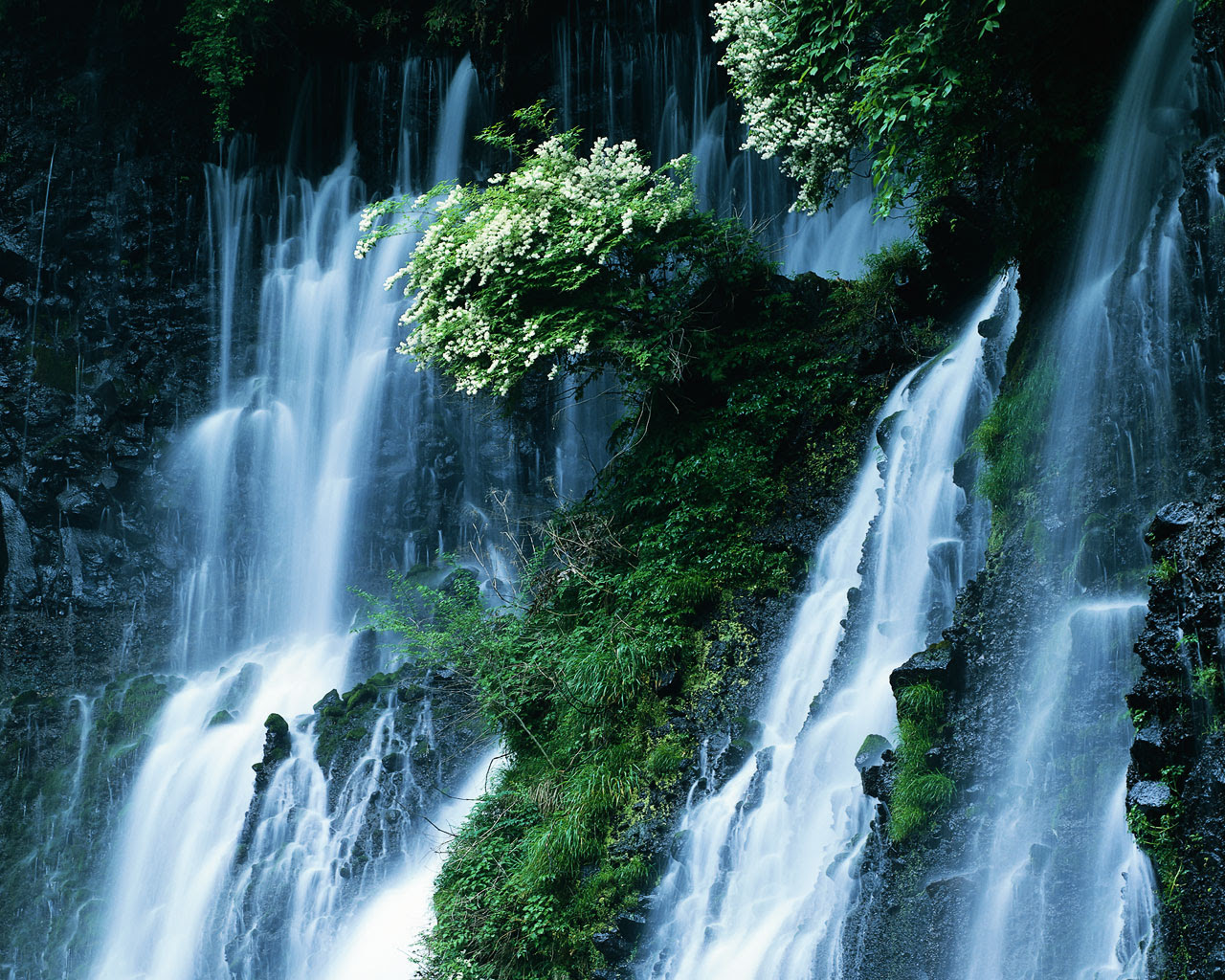 Gambar Wallpaper Bergerak Air Terjun