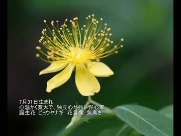 美しい花の画像 ラブリービヨウヤナギ 花 言葉