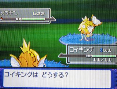 動機 ポケモン プラチナ コイキング 100 で最高の画像