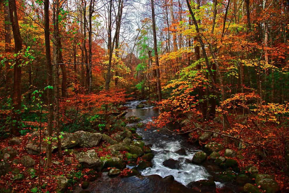 Autumn in Tennessee, Fall Creek, Great Smoky Mountains
