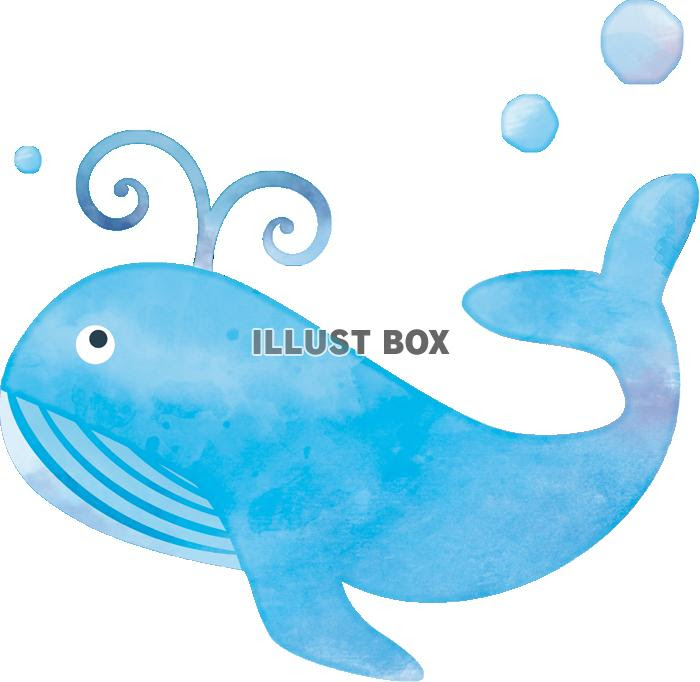 かわいいディズニー画像 50 素晴らしいクジラ イラスト 簡単