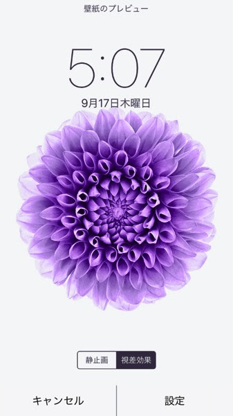 すべての花の画像 最高花 Iphone 壁紙 デフォルト