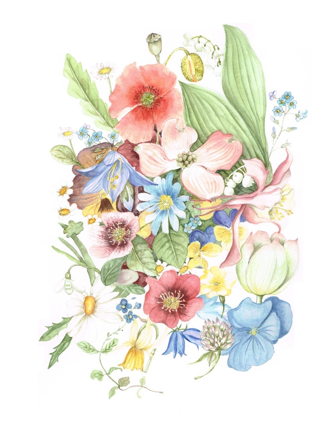 トップ100 花 イラスト 綺麗 イラスト画像