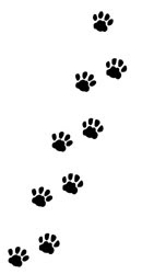 すべての動物の画像 猫 足跡 イラスト フリー