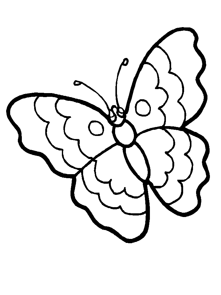 Anyway, i'm not going to talk much further about butterflies. Free Free Printable Coloring Pages Of Butterflies Download Free Clip Art Free Clip Art On Clipart Library