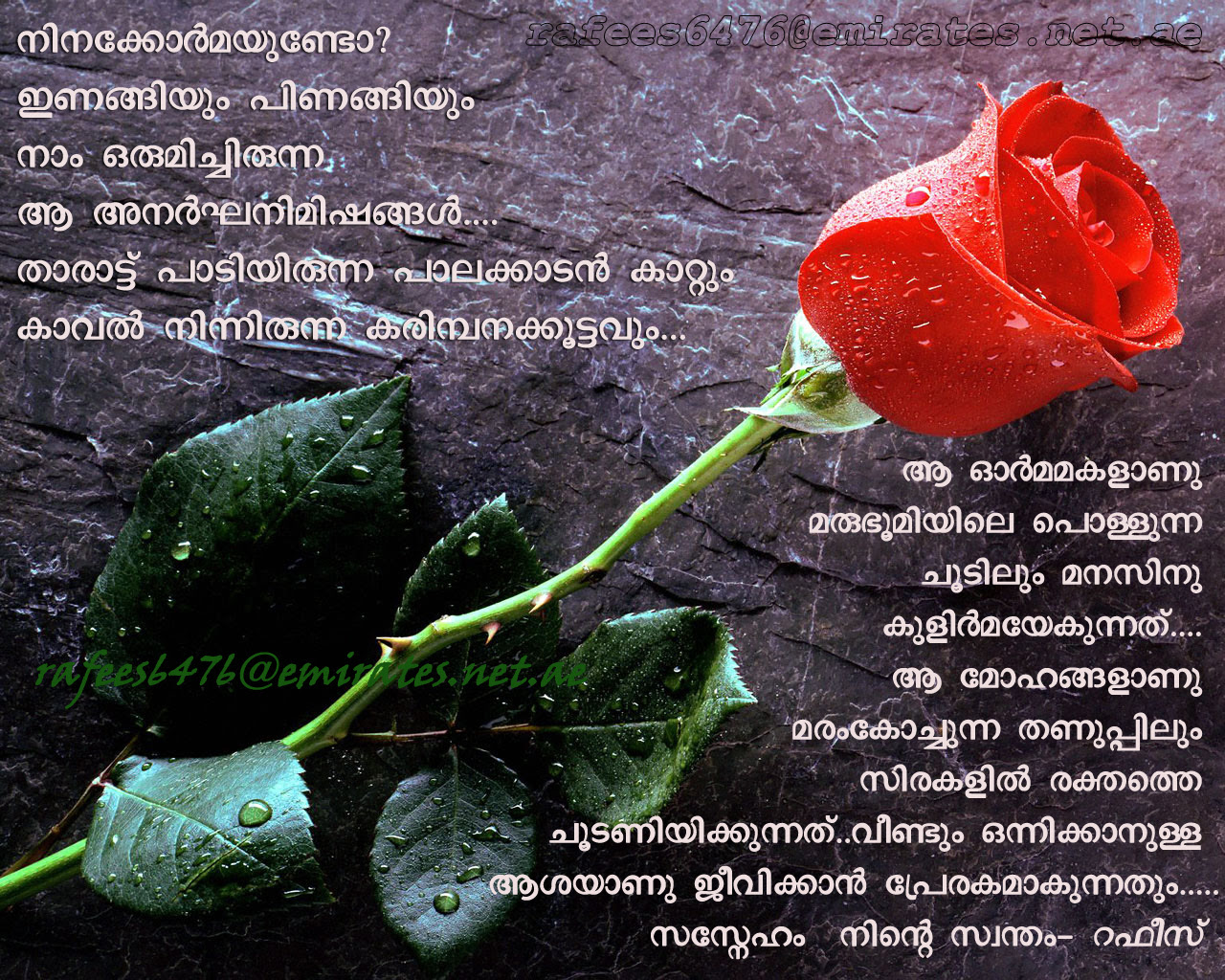 4youngsterz Malayalam English Love Messages Greeting Cards