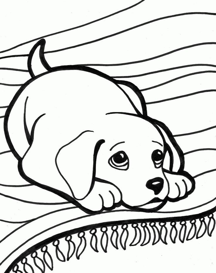Dog coloring book for all ages (zentangle and doodle design) by tiny cactus publishing paperback $6.99. Dog Coloring Pages For Kids At Getdrawings Free Download
