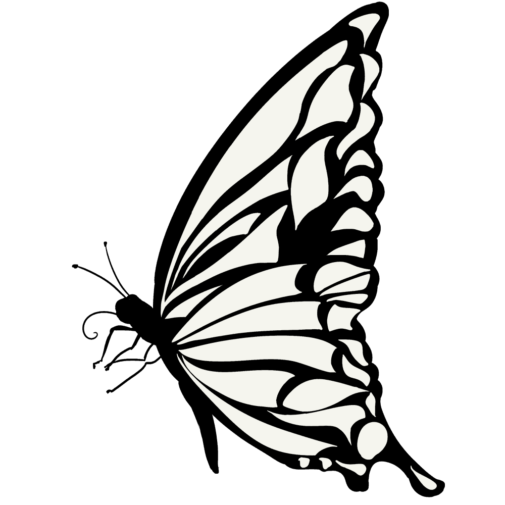 最も人気のある 白黒 蝶 イラスト 横向き Imagejoshmxo