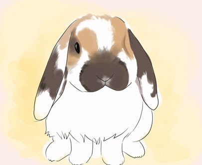 動物画像無料 ベスト50 うさぎ の 描き 方