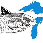 Asian Carp Invade the Great Lakes