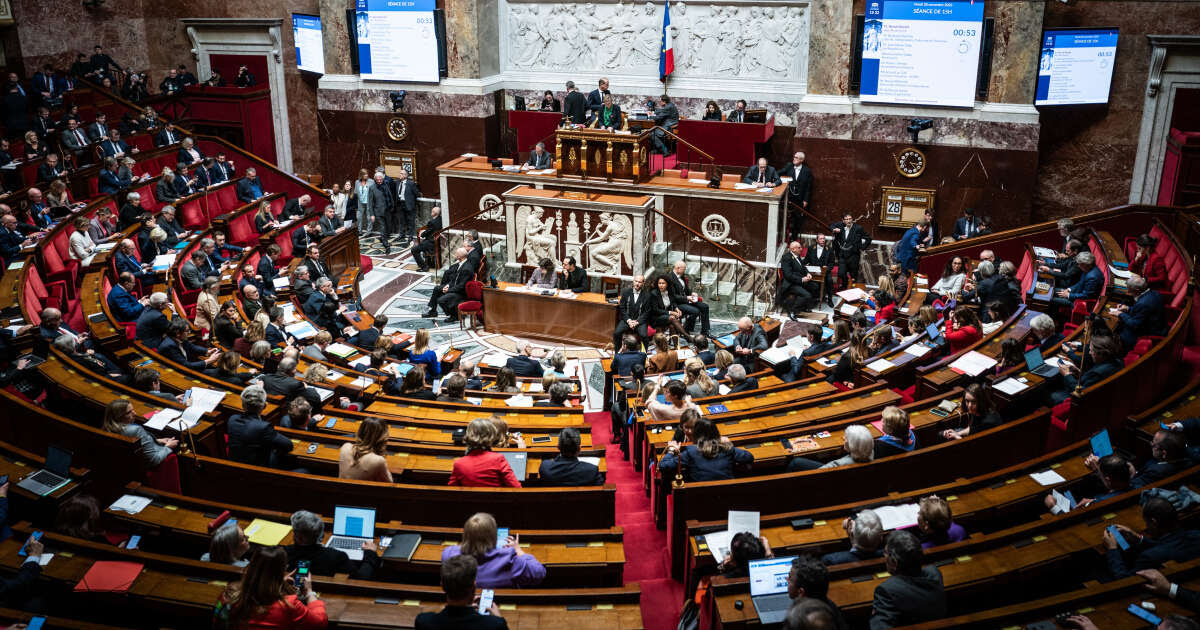 Loi immigration : les députés rétablissent l’Aide médicale d’Etat, transformée par le Sénat