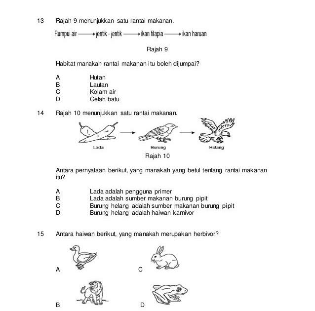 Soalan Sains Tahun 5 Kemandirian Spesies - Persoalan t