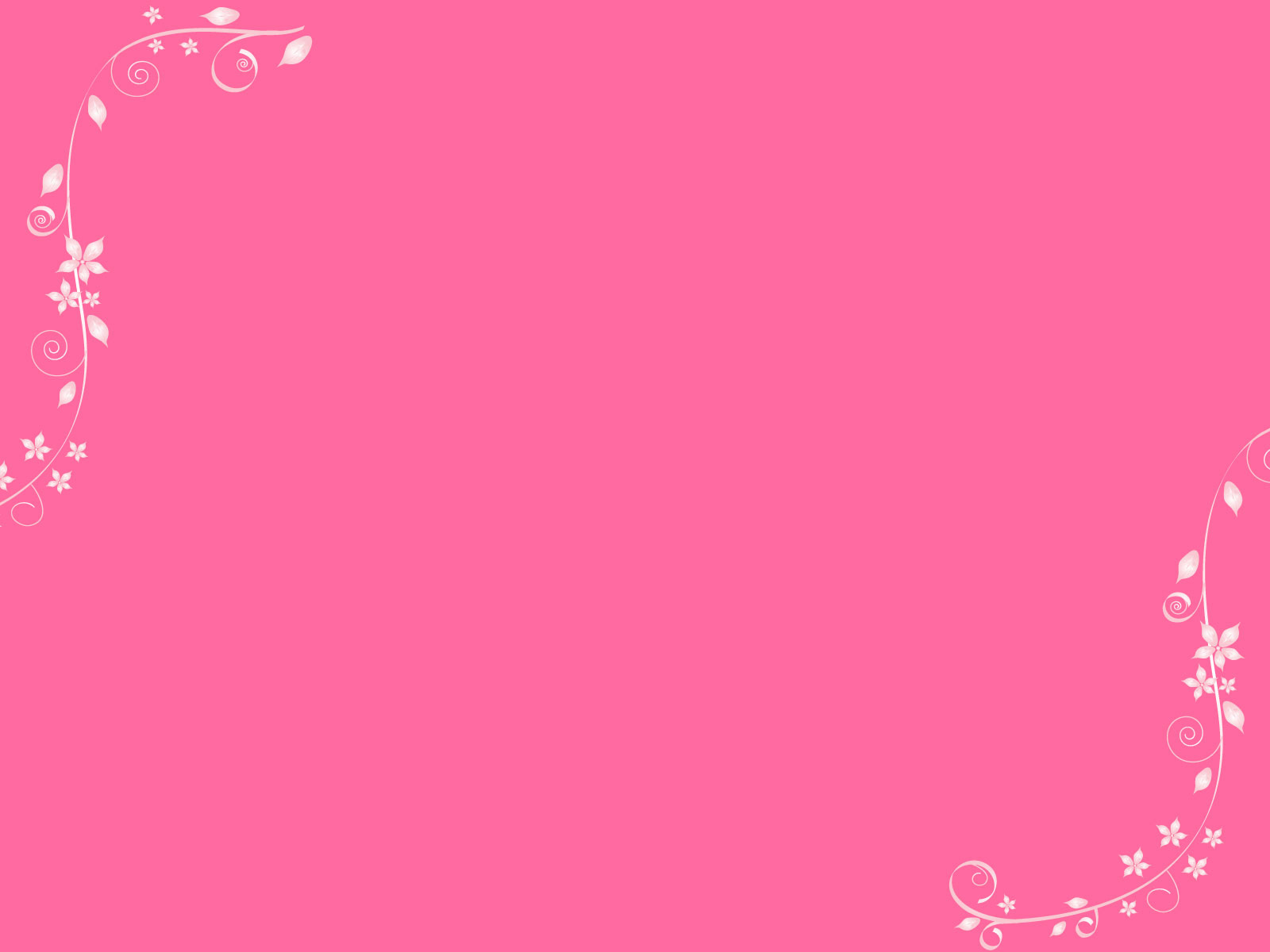 Wallpaper Hp Warna  Pink  Polos Paimin Gambar 